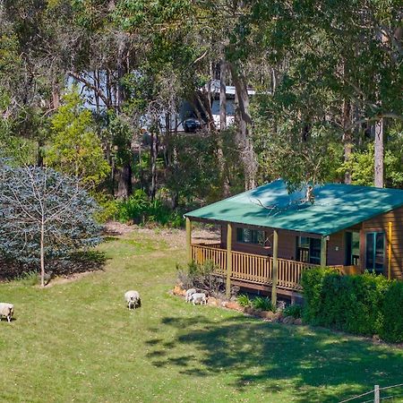 Diamond Forest Farm Stay Manjimup Exterior photo